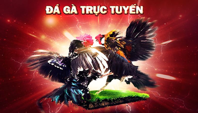 Trận đấu vô cùng hấp dẫn và kích thích người xem.